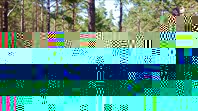 10.7  (16)